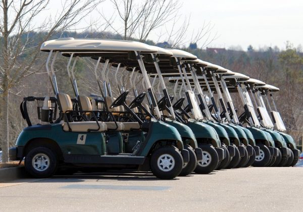Ris och ros om golfbilen